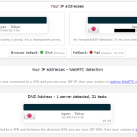 VPN_ON_DNS_OFF_IPV6_ON_